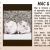 Pet of The Week Humane Society of Jefferson Conty
