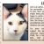 Pet of The Week Humane Society of Jefferson Conty