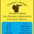 Your Reliable Independent Insurance Agency