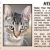 Pet of The Week Melody