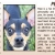 Pet of The Week Pepe