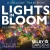 Lights in Bloom