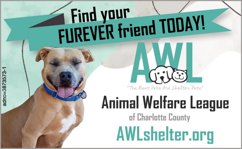 Find Your Furever Friend Today!