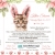 Kitten Shower