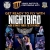 Get Ready to Fly with Nightbird