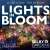 Lights in Bloom