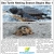 Sea Turtle Nesting Season Begins May 1