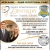 Dental Services