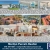 Realtor