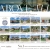 International Realty