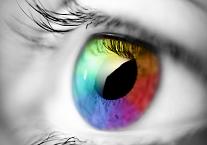Eye Eye