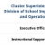 Cluster Superintendent - Division of School Improvement and Operations