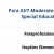 Para AUT-Moderate-Level II - Special Education