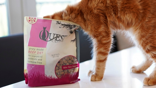 Your One-Stop Shop for the Best Pet Products