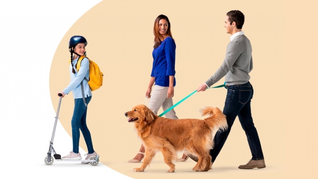 Safeguard Your Furry Friends with Chris Regel State Farm Pet Insurance