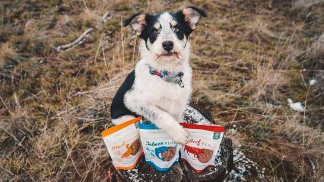 Your One-Stop Shop for the Best Pet Products