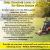 Lawn Caretaker