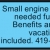 Small Engine Mechanic