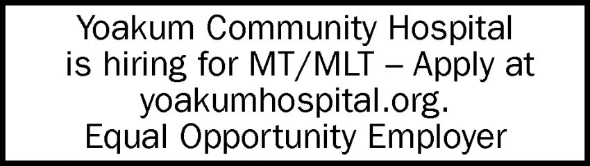 MT - MLT 