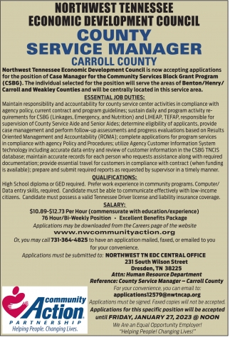 County Service Manager