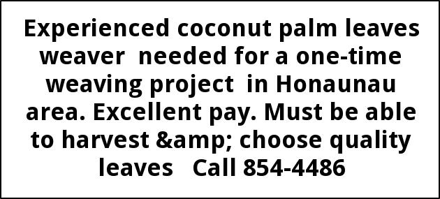 Experienced Coconut Palm Leaves Weaver