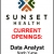 Data Analyst