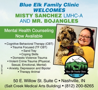 Mental Health Counseling Now Available