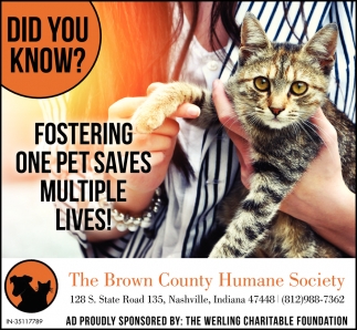 Did You Know?
