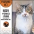 Featured Pet