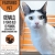 Featured Pet