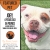 Featured Pet