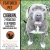Featured Pet