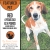 Featured Pet