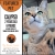 Featured Pet - Calypso