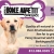 Bring this Ad & Get a FREE Bag of Natural Dog Treats - Dogs Welcome