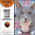 Featured Pet - Gracie