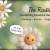 Something Beautiful Has Arrived In Your Town