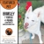 Featured Pet: Brimsley, 1 Year Old