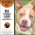 Featured Pet: Brimsley, 1 Year Old