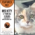 Find Your New Furry Friend 