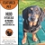 Find Your New Furry Friend 