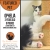 Find Your New Furry Friend 