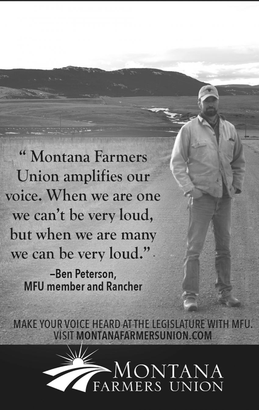 Make Your Voice Heard at The Legislature With MFU