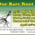 Our Bare Root Sale Is Here!