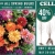 Cellar Clearance Sale