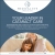 Your Leader in Cataract Care