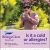 Is It a Cold or Allergies?