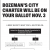 Bozeman's Charter Will Be On Your Ballot Nov. 3