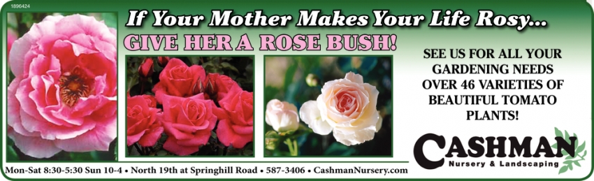 Give Her a Rose Bush!
