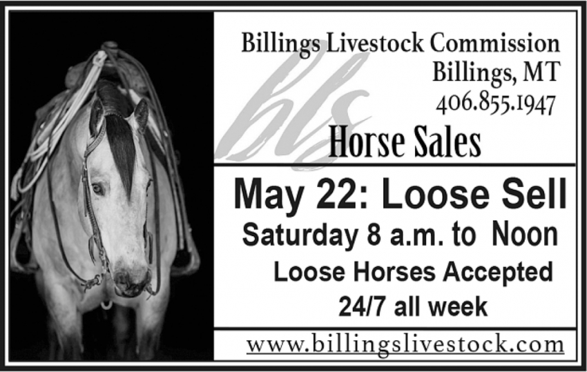 Horse Sales